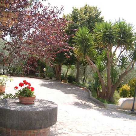 L'Uliveto Montebuono (Lazio) Exterior foto