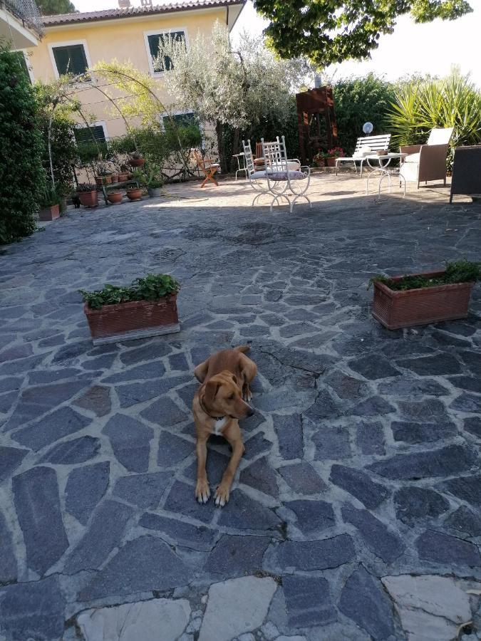 L'Uliveto Montebuono (Lazio) Exterior foto