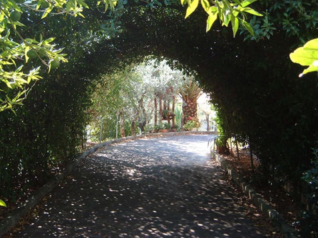 L'Uliveto Montebuono (Lazio) Exterior foto